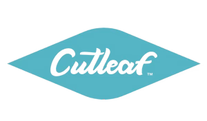 Cutleaf
