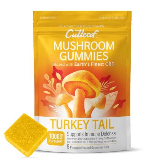 Turkey Tail 1000MG Mushroom Gummies