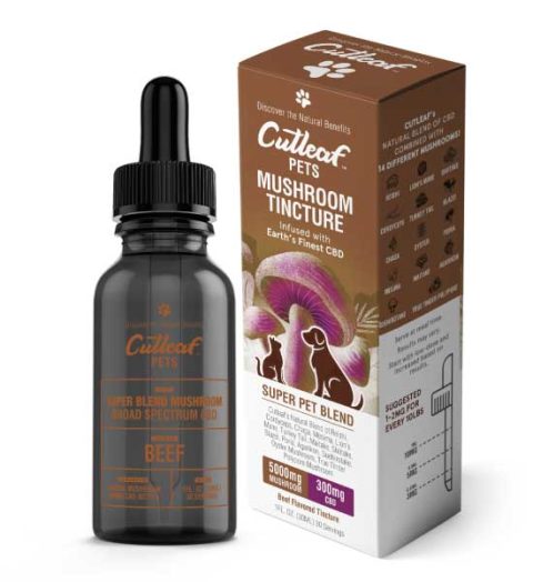 Beef Pet Tincture 5000MG Mushroom 300MG CBD