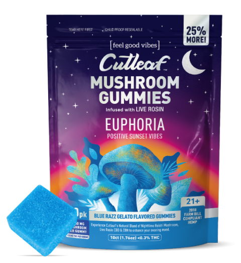 Blue Razz Gelato 1000MG Euphoria Mushroom Gummies