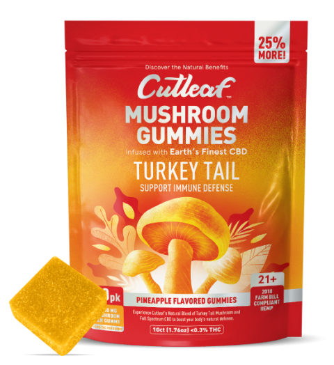 Turkey Tail 1000MG Mushroom Gummies